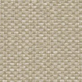 Обои Alessandro Allori