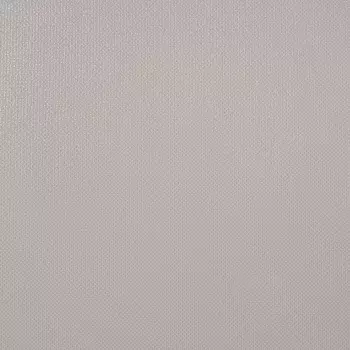 Обои Alessandro Allori