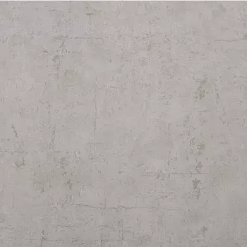 Обои Alessandro Allori