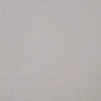 Обои Alessandro Allori