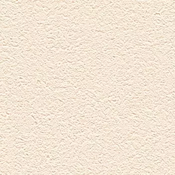 Обои Alessandro Allori