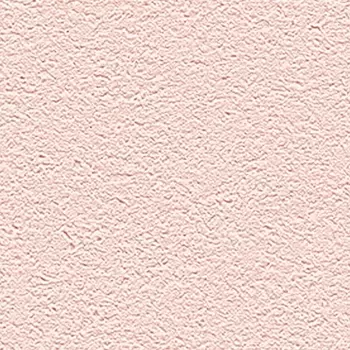 Обои Alessandro Allori