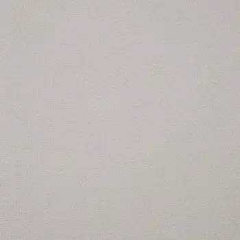 Обои Alessandro Allori