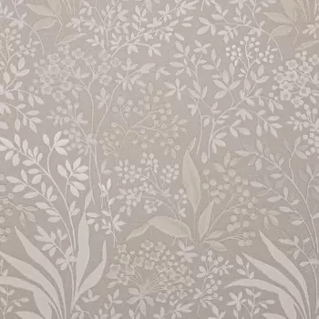 Обои Alessandro Allori