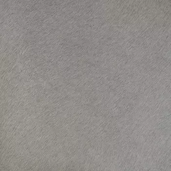 Обои Alessandro Allori