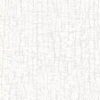 Обои Alessandro Allori