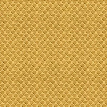 Обои Alessandro Allori