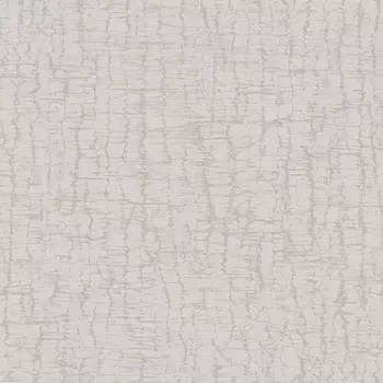 Обои Alessandro Allori