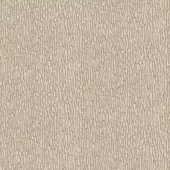 Обои Alessandro Allori