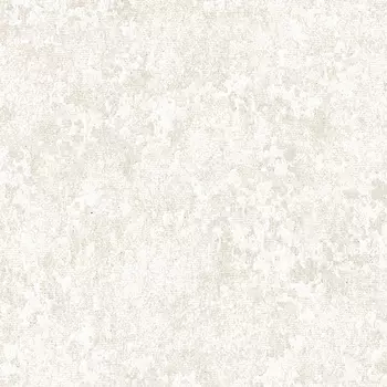 Обои Alessandro Allori