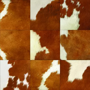 Обои Alessandro Allori