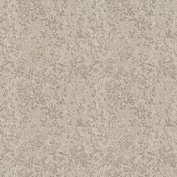 Обои Alessandro Allori