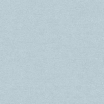 Обои Alessandro Allori