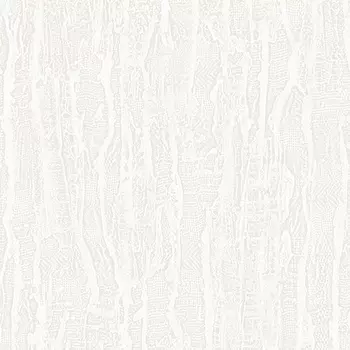 Обои Alessandro Allori