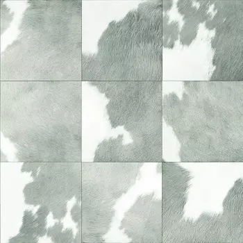 Обои Alessandro Allori