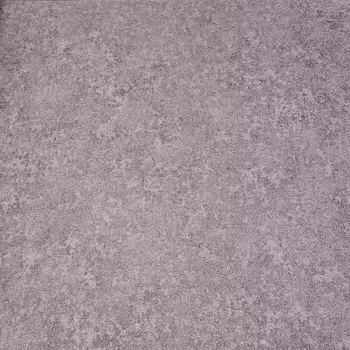 Обои Alessandro Allori