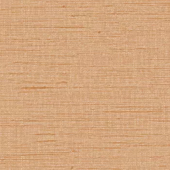 Обои Alessandro Allori