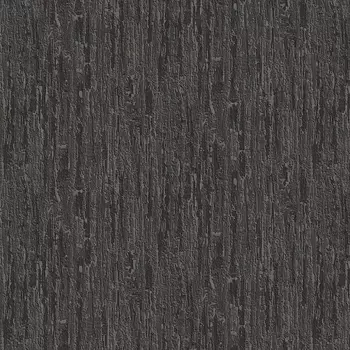 Обои Alessandro Allori