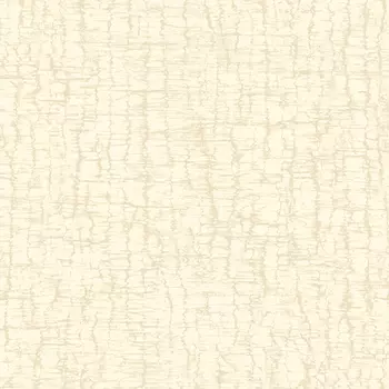 Обои Alessandro Allori