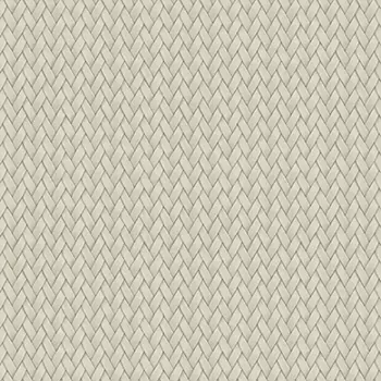 Обои Alessandro Allori