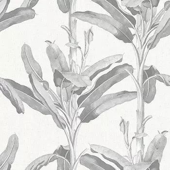 Обои Alessandro Allori