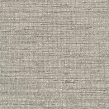 Обои Alessandro Allori