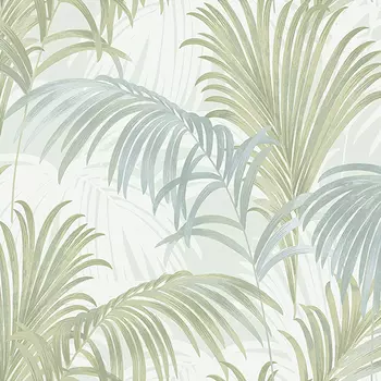 Обои Alessandro Allori