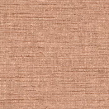 Обои Alessandro Allori