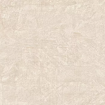 Обои Alessandro Allori