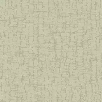 Обои Alessandro Allori