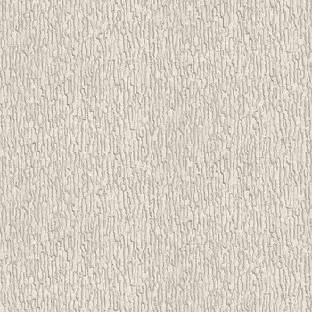 Обои Alessandro Allori