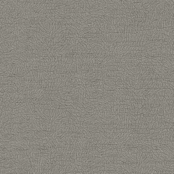 Обои Alessandro Allori