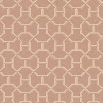 Обои Alessandro Allori