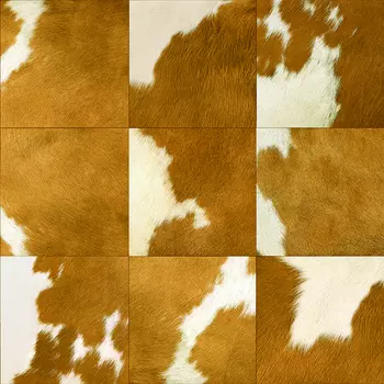 Обои Alessandro Allori