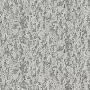 Обои Alessandro Allori