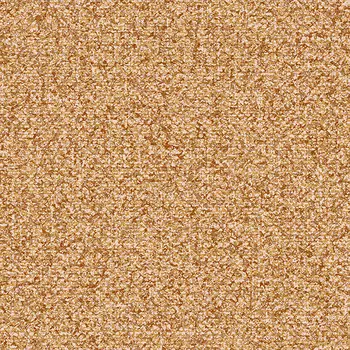 Обои Alessandro Allori