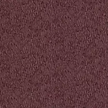 Обои Alessandro Allori