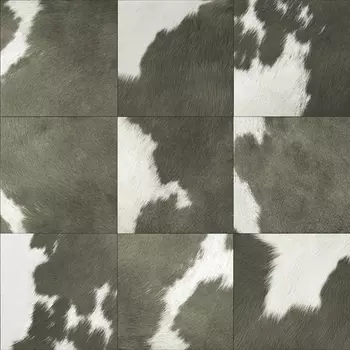 Обои Alessandro Allori