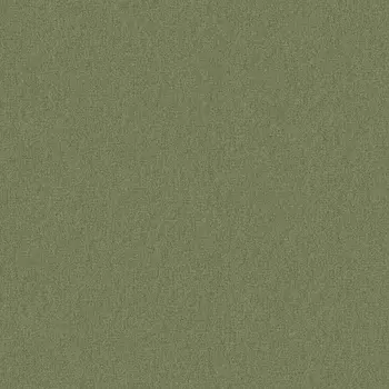 Обои Andrea Grifoni