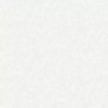 Обои Andrea Grifoni