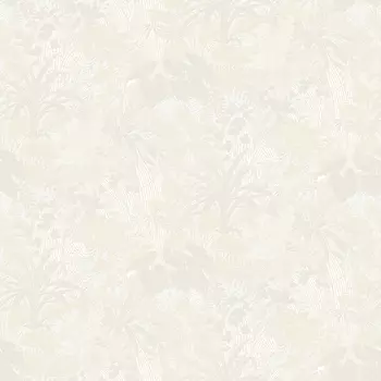 Обои Andrea Grifoni