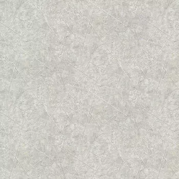 Обои Andrea Grifoni