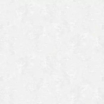 Обои Andrea Grifoni