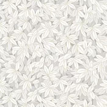 Обои Andrea Rossi