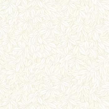 Обои Andrea Rossi