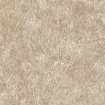 Обои Andrea Rossi