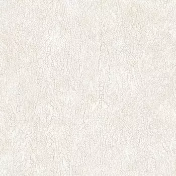 Обои Andrea Rossi