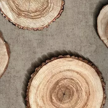 Обои Andrea Rossi