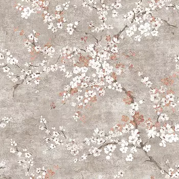 Обои Andrea Rossi