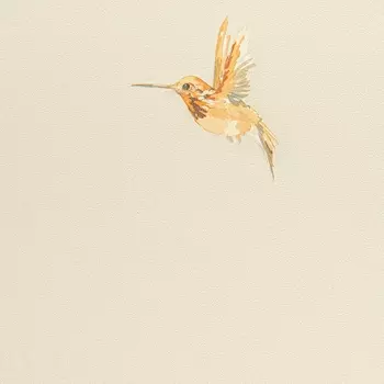 Обои Andrea Rossi